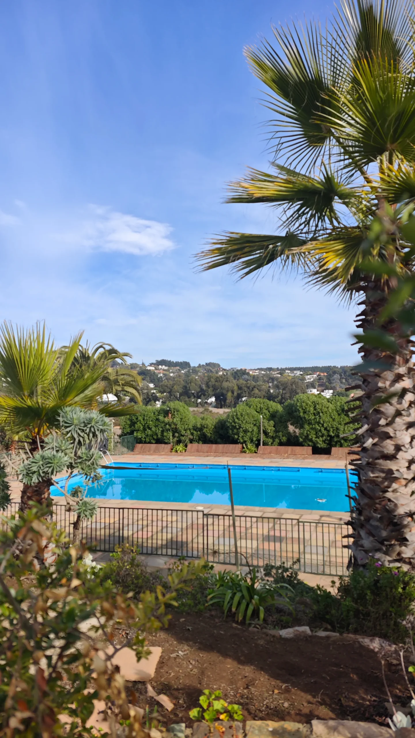 Piscina y jardines de alojamiento turístico
